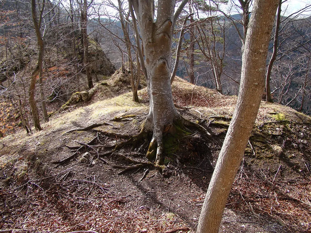 Blick nach Westen