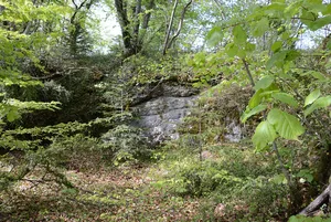 Schönenberg Castle ruin
