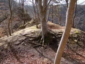 Burg Vogelfels