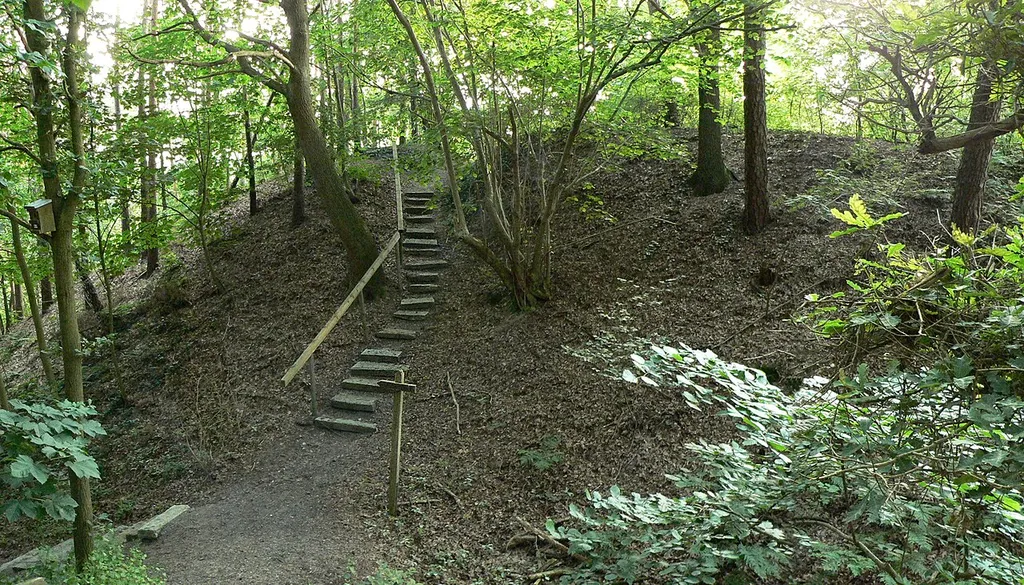 Burghügel der Burg Steyerberg auf dem Kanppsberg