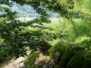 Burgstall Winzberg