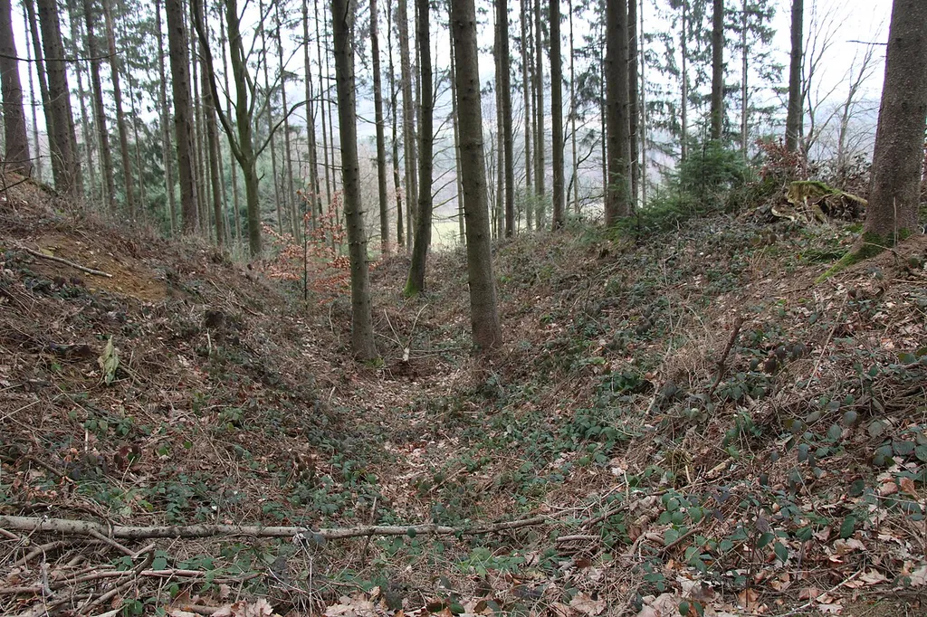 Burg Mohrenstetten Graben bei Vorburg Richtung NO von Weg aus aufgenommen