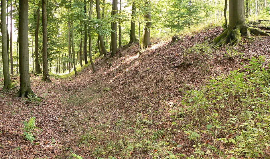 Außenwall der Altenburg