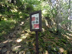 Burg Fürstenwalde
