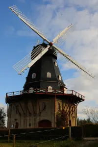 Løve
