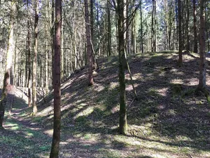 Wasenberg (Mitterkirchen in Machland)
