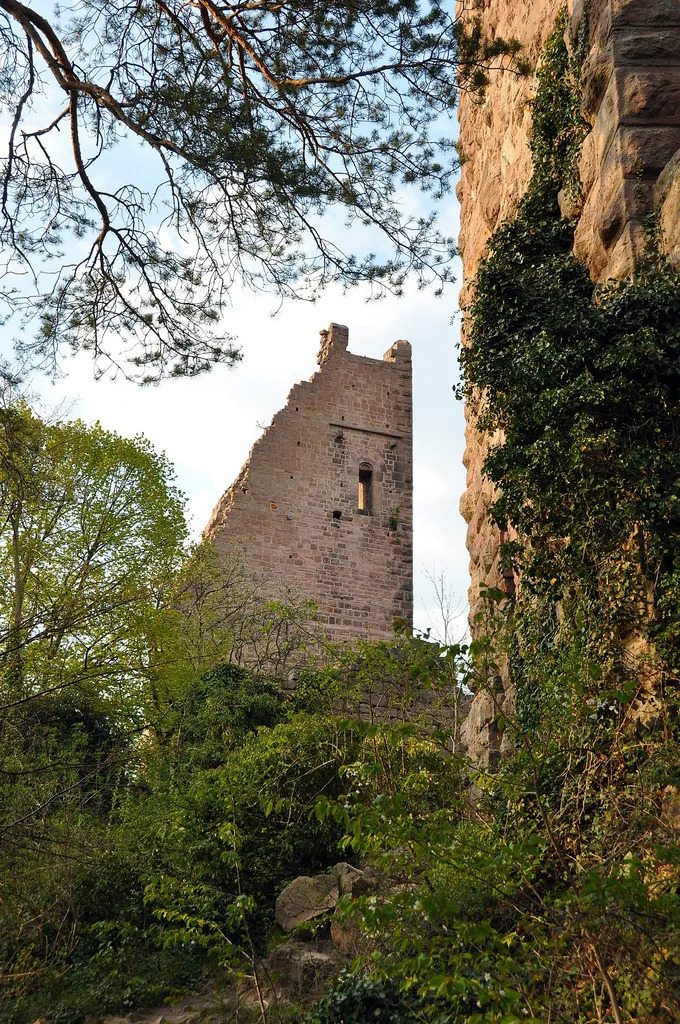 Castle Ruins near Colmar, France