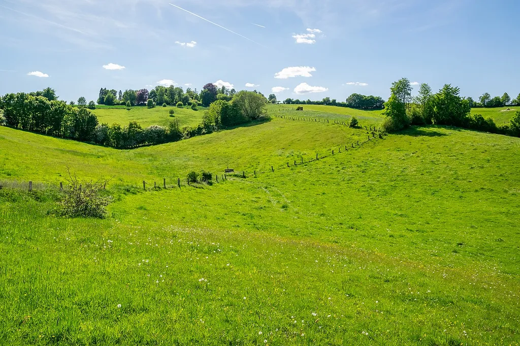Landschaftsschutzgebiet "Bückeburger Riesen" bei Schieder-Schwalenberg-Lothe
