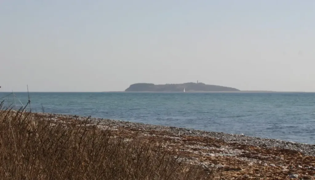 Hjelm