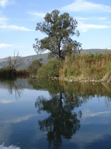 Hutovo Blato Nature park