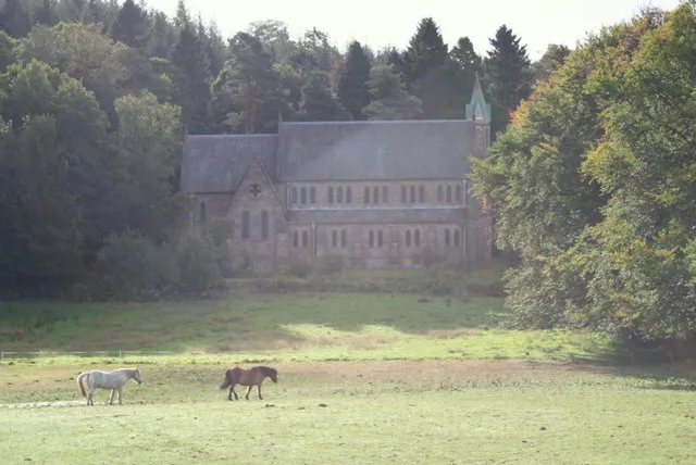 Ponies by St Margaret's Church, Aberlour