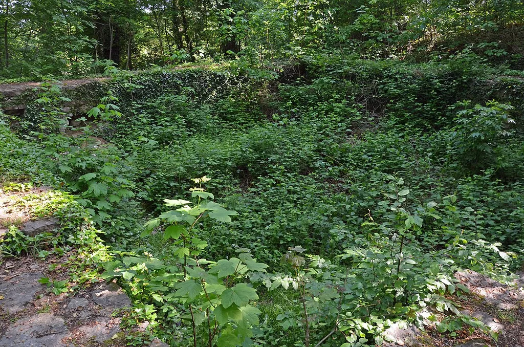 Turmstumpf der Gaugrafenburg im Brettener Burgwäldle.