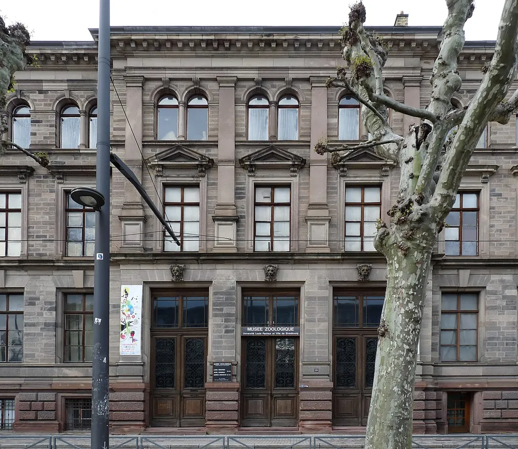 Musée zoologique de Strasbourg