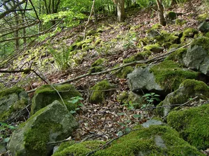 Wallburg Großenritte