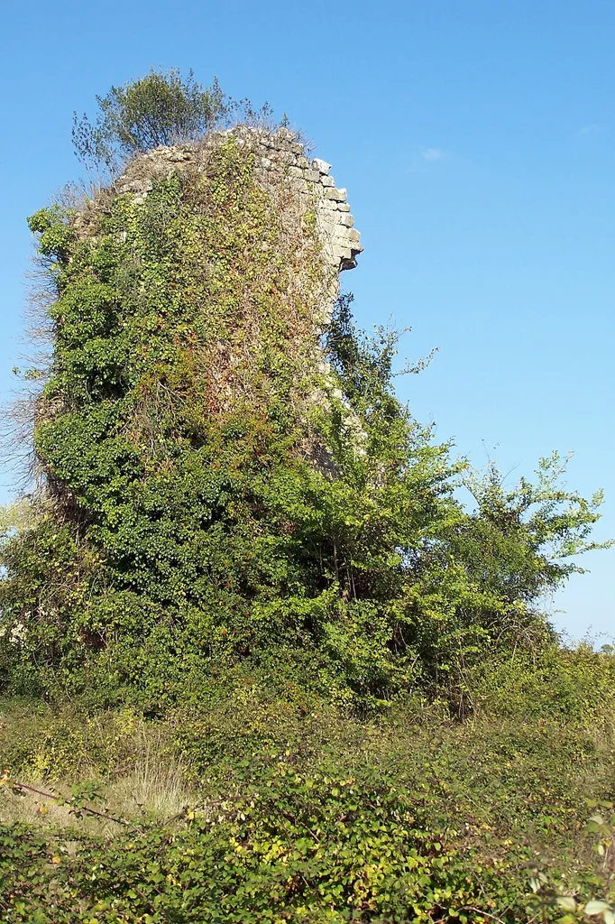 Ruins of the castle of Aillas (Gironde, France)