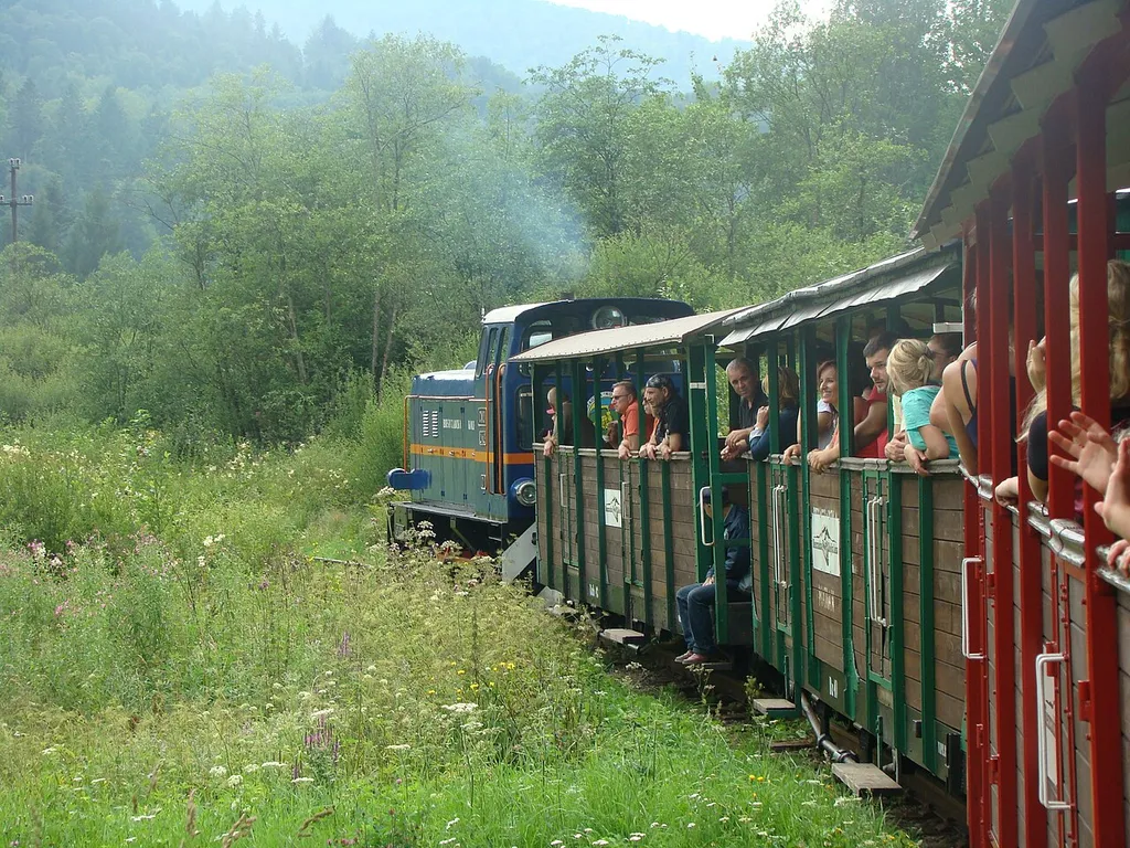 Bieszczadzka Kolejka Leśna (w Żubraczem, kierunek Balnica