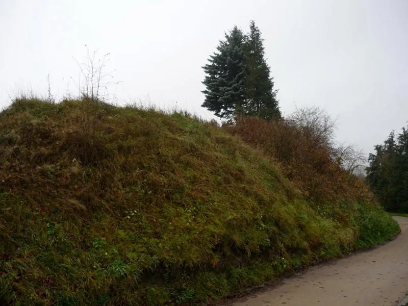 Burgwall Tessin Mühlenberg