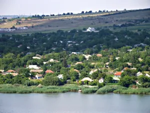 Țîbuleuca