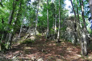 Kuglvajt