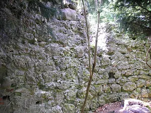 Burg Rauhlaubenberg