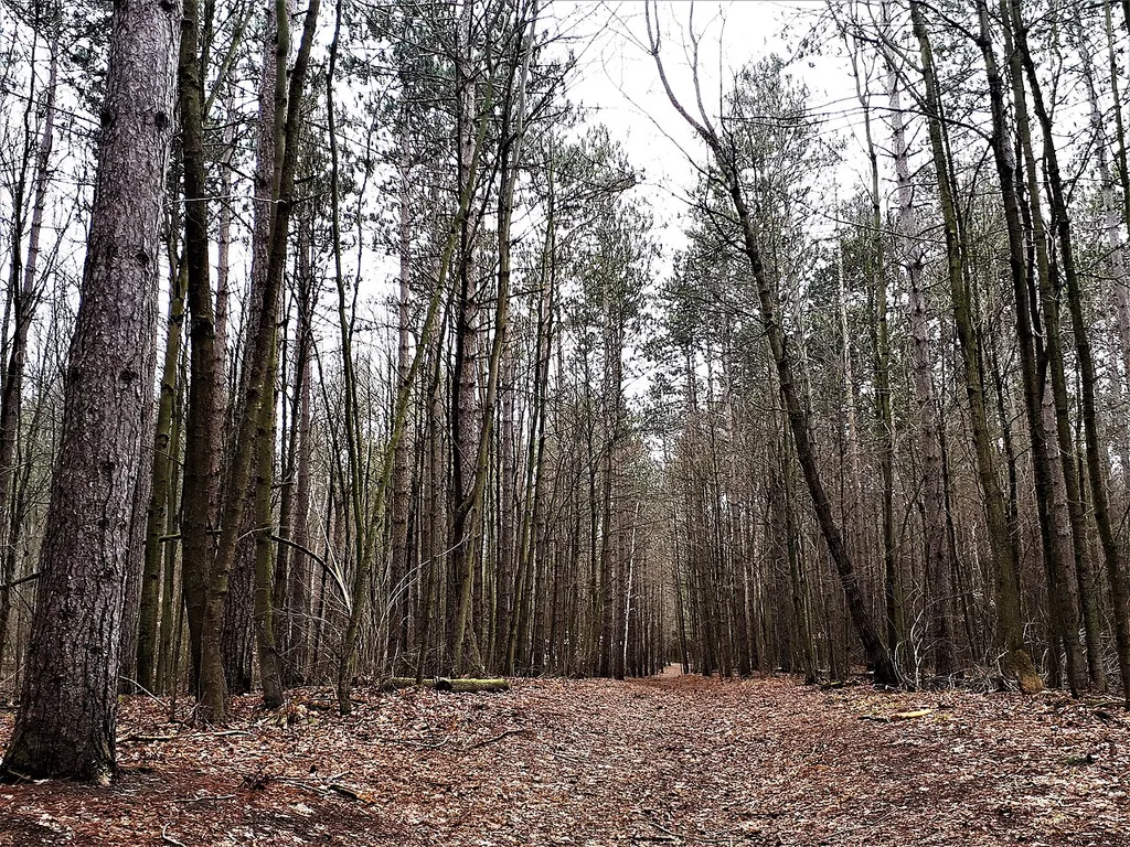 Whitchurch Conservation Area- Township of Whitchurch-Stouffville-Ontario