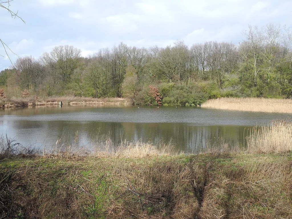 Naturschutzgebiet im Regierungsbezirk Kassel 1633011. „Rothenberg bei Burguffeln“, Teilfläche „Rothenkühler Teich“, Wasserfläche mit Feuchtgebiet, Wiesen und Wald, westlich von Immenhausen, östlich von Burguffeln, im Landkreis Kassel. Am Rothenkühler Teich.