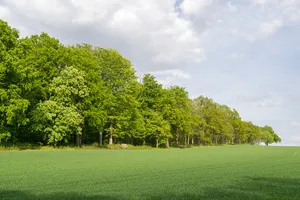 LSG-Bielefelder Osning mit Teutoburger Wald und OsningVorbergen sowie Ravensberger Huegelland