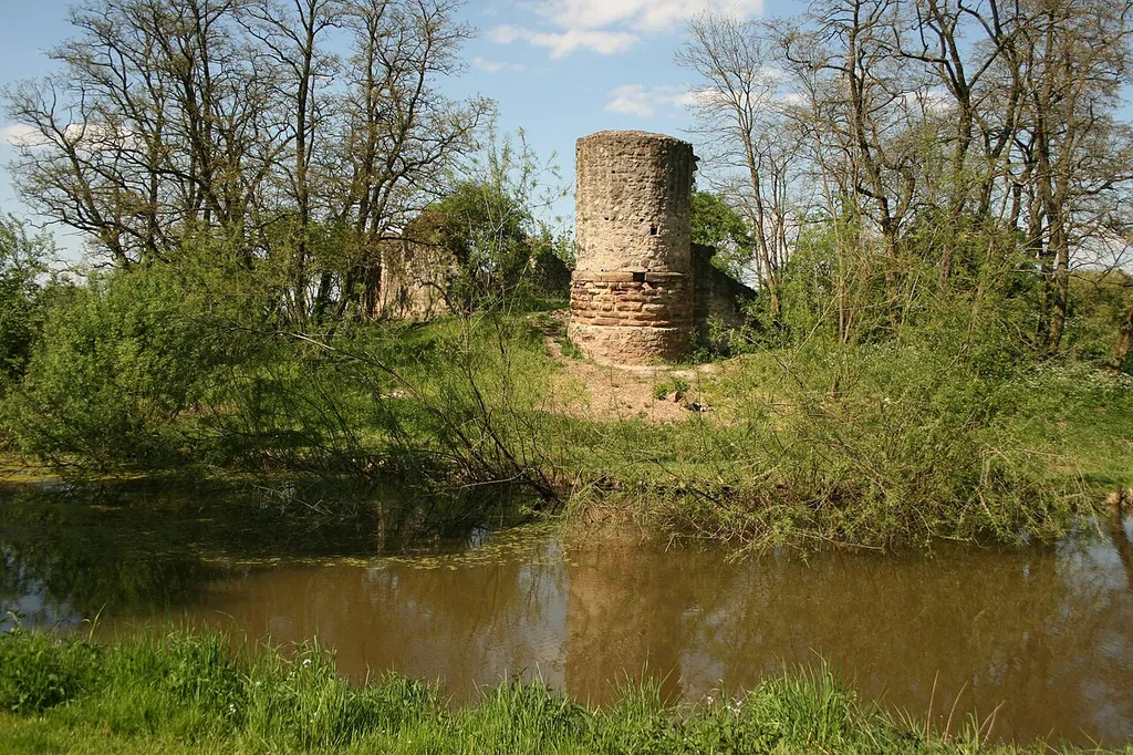 Ruins of castle Dorfelden, Niederdorfelden, Hesse. View from South