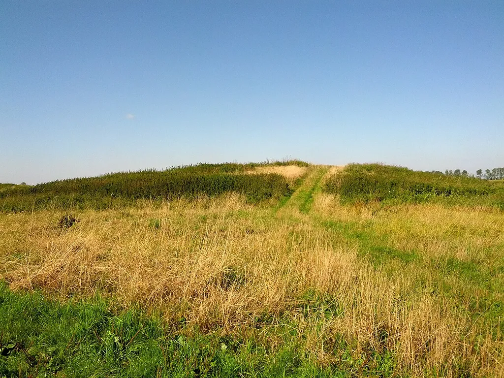 Beningaburg, Warfenweg, Blick auf nördliche Warf