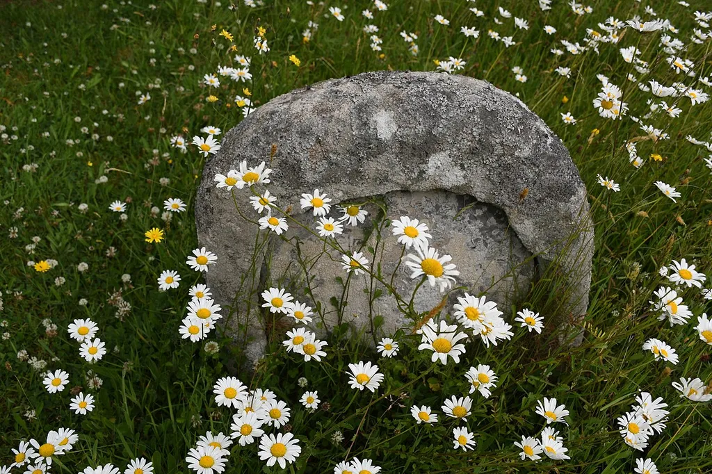 South Tawton in Dartmoor