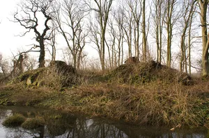 Burg Osten