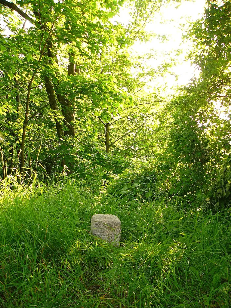 VIII. Burgfriedensstein