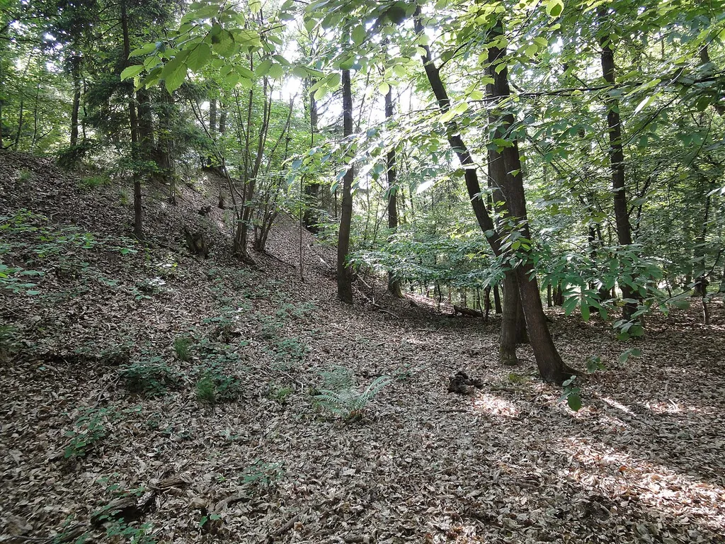 Burg Johannisberg - Überhöhung des Burgbereichs (links) im Anschluss an den Bergrücken im Norden (rechts).