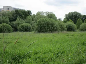 Fackenburger Landgraben und Tremser Teich