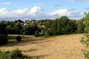LSG-Auf dem Schrick/Piepers Kamp/Kleve/Honberg/Im Haarholz/Haiweg/Oberstiepel in Bochum-Sued, 5, Querenburg, Stiepel, Wiemelshausen