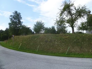 Burg Höft