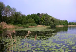 Aeschi SO–Burgäschisee Ost