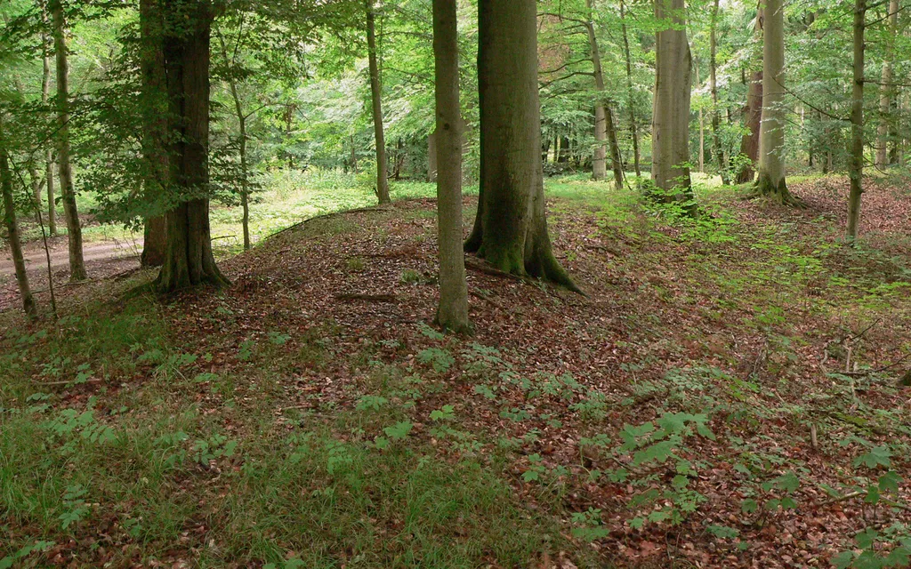 Burgwall im Elbholz