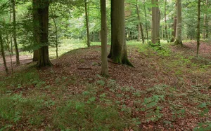 Burgwall im Elbholz