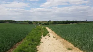 Belgium-Netherlands boundary stone no. 76