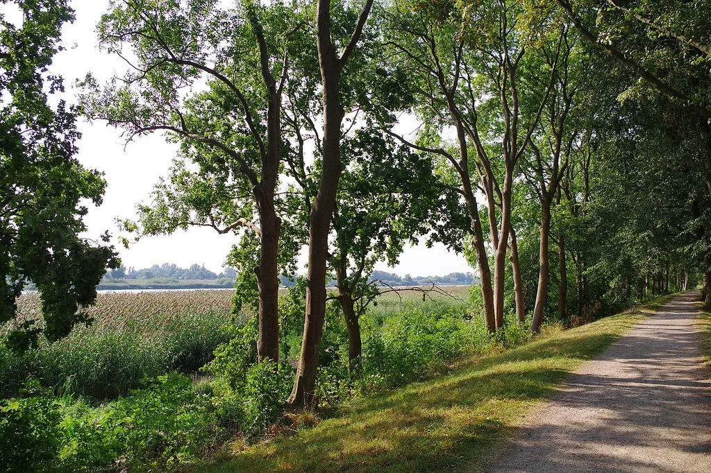 Landschaftsschutzgebiet Wilhelmsburger Elbinsel