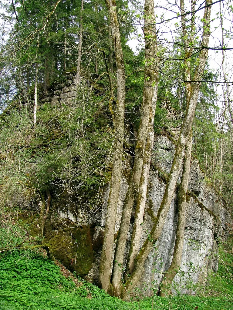 Findling mit Resten der Burg