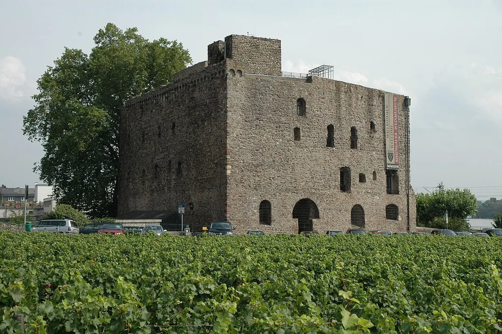 Brömserburg von Westen eigenes Foto Peter Weller