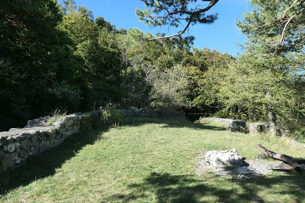 Ruine Procha Burg