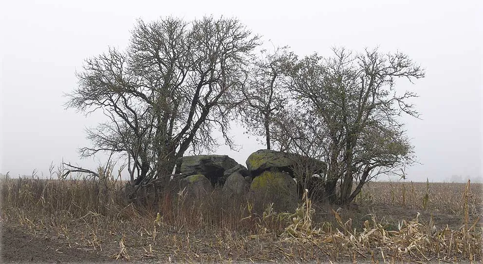 Schadewohl Steingrab 2, Chambered Tomb in Saxony-Anhalt South of Schadewohl, west of Kerstenberg, near a hill called 'Spitzen Berg' are the remains of three megalithic tombs. Tomb No. 2 is located just 100m west of the easily spotted hilltop. Same as tomb No. 3, you can only reach it if you can walk over the fields. Schadewohl 2 (or Tomb 38 according to the official book 'Großsteingräber in der Altmark') was an Extended Dolmen with four pairs of uprights on the long sides, and a single stone on the short. Chamber size 5.7m x 1.5m. Two capstones are still there, but broken and shifted out of place. One of the capstones is littered with cup marks. There are no remains of an enclosure. References: Johann Friedrich Danneil 'Specielle Nachweisung der Hünengräber in der Altmark' Sechster Jahresbericht (Neuhaldensleben-Gardelegen 1843) No. 28 Eduard Krause, Otto Schoetensack 'Die megalithischen Gräber (Steinkammergräber) Deutschlands' Zeitschrift für Ethnologie 25. Band v. 1893, No. 57, p. 143 Hartmut Bock, Barbara Fritsch, Lothar Mittag 'Großsteingräber in der Altmark' Landesamt für Denkmalpflege und Archäologie Sachsen-Anhalt Landesmuseum für Vorgeschichte, Halle (Saale) 2006, No. 38, p. 143