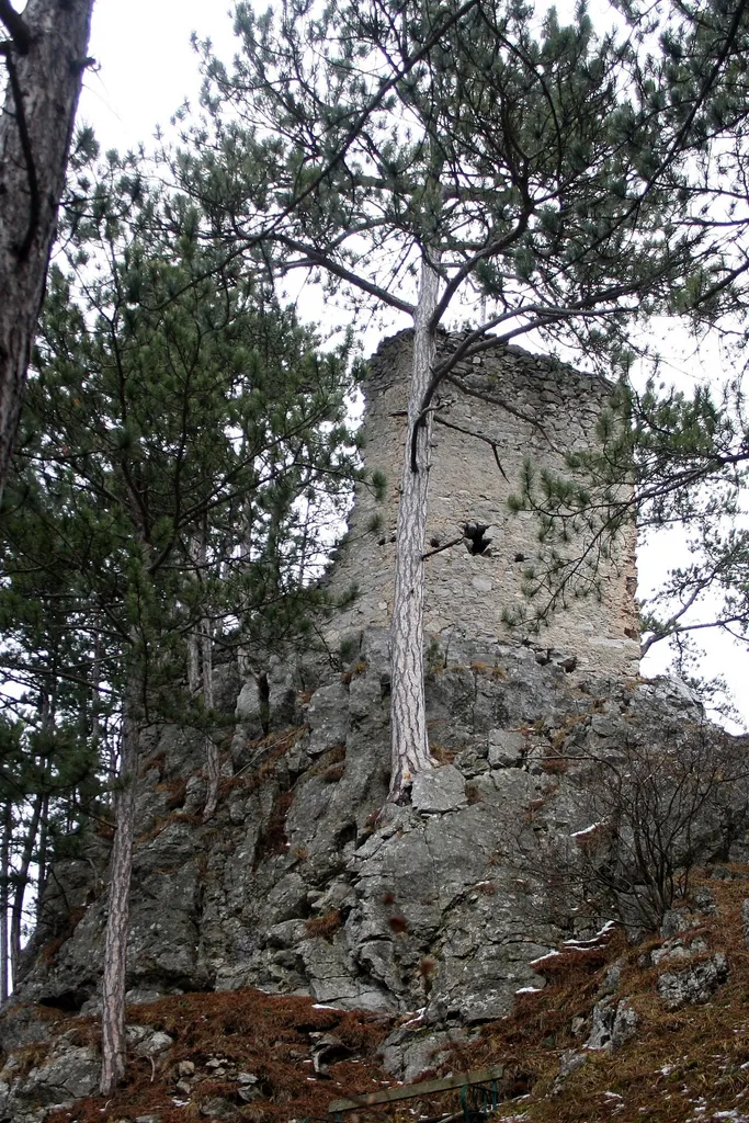 Die Burgruine in Scheuchenstein, Gemeinde Miesenbach.