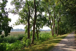 Wilhelmsburger Elbinsel