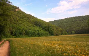 Burgreste Bräunisburg