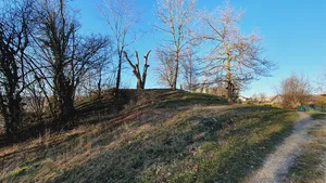 Burg Türkheim