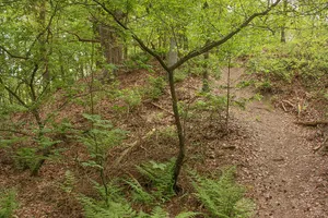 Wekenborg
